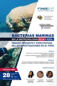 banner curso