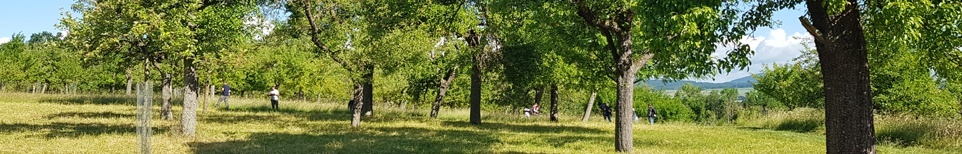 Header_Judenberg.jpg