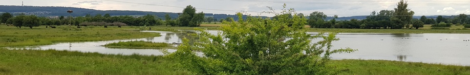 Header_Radenhausen.jpg