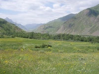 image1.jpeg
