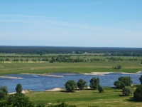 Elbaue