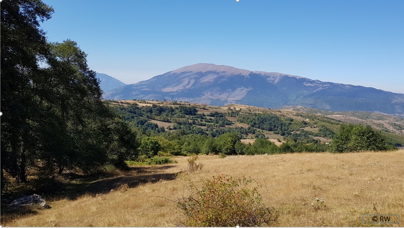 landscape2