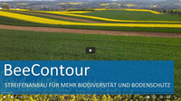 BeeContour – YouTube.png