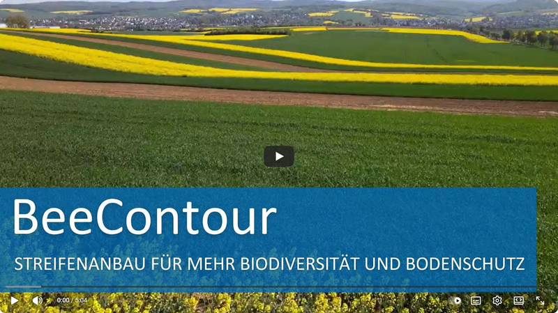 BeeContour – YouTube.png