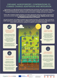 OCNET infographic AF.png
