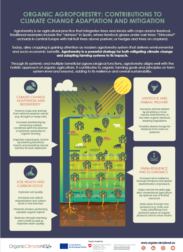 OCNET infographic AF.png