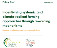 OCNET policy brief 2026.png
