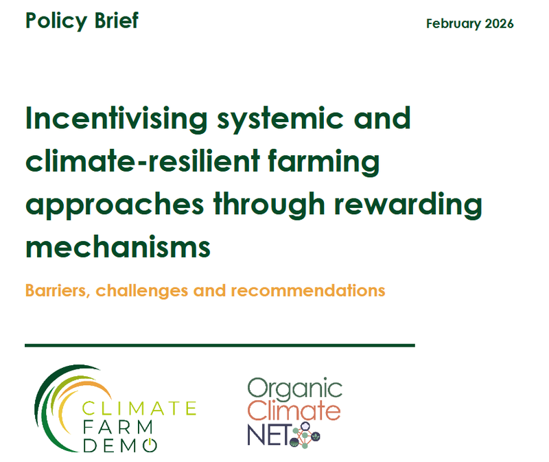 OCNET policy brief 2026.png