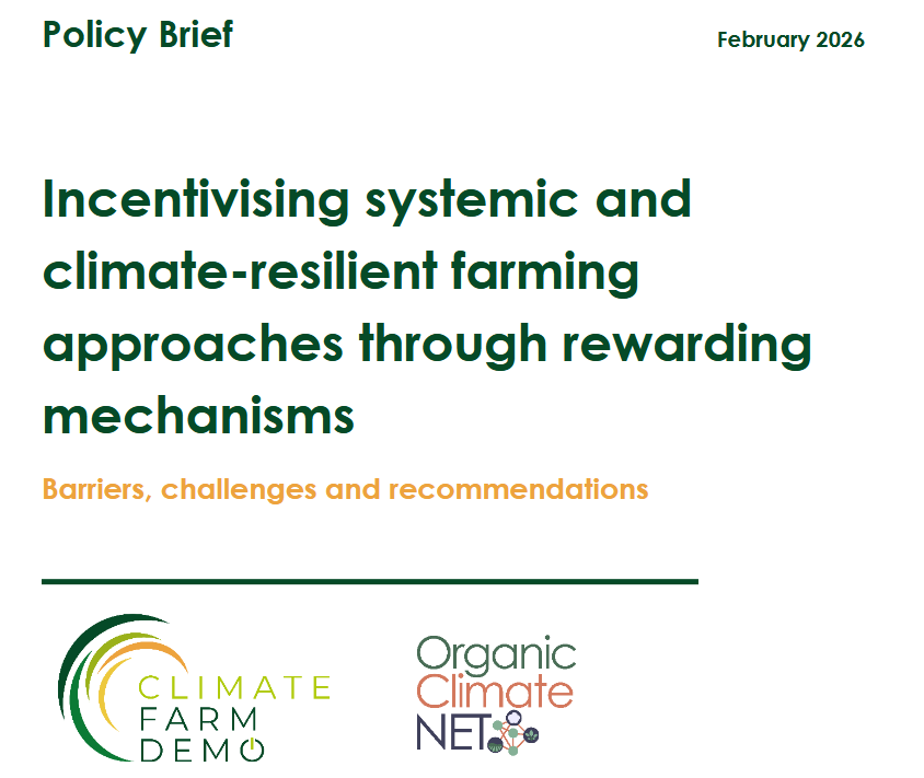 OCNET policy brief 2026.png
