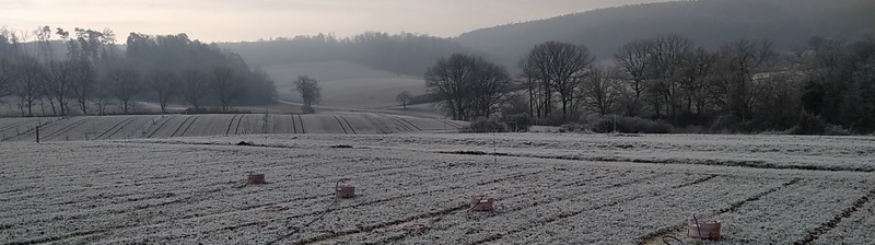 IMG20210111WA0002Ackerbonus_schmal.jpeg