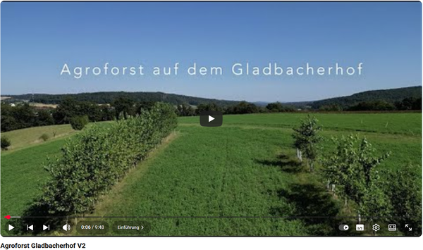 Agroforst-Film