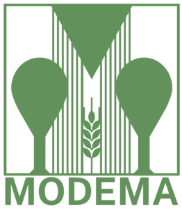 MODEMAlogoM