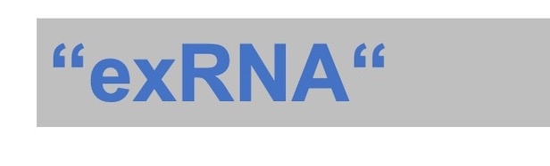 exRNA Schrift