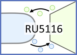 FOR5116-Logo