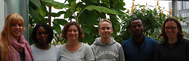 groupphoto2017cropped.png
