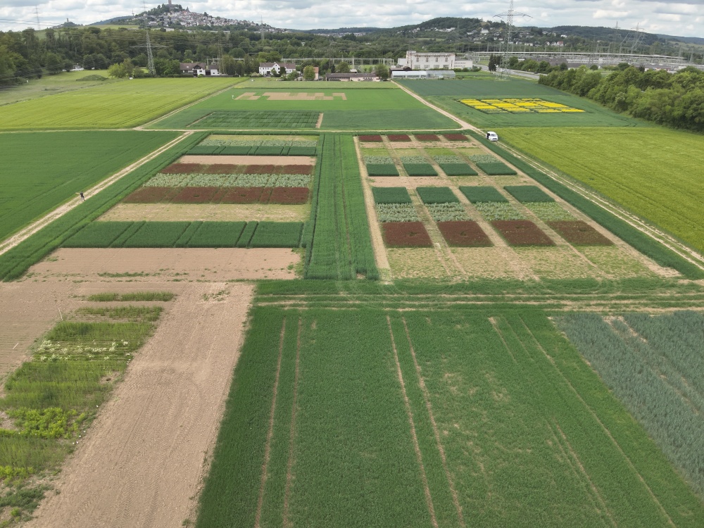 Weilburger_DJI_20260521155938_0007_V.JPG