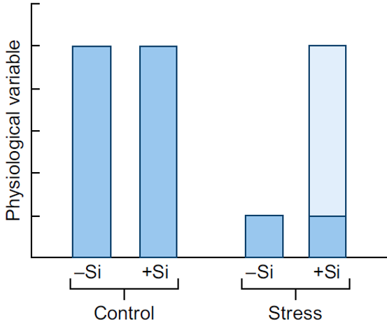 Si-Wirkung_Stress.png