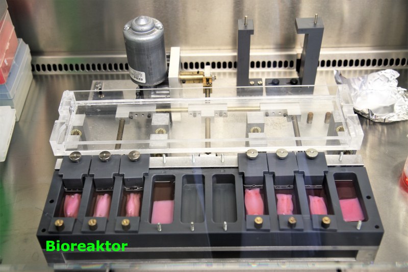 Bioreaktor