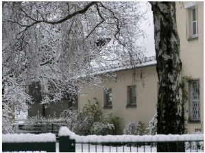Rinderklinik