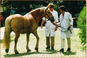 Studierende mit Pferd
