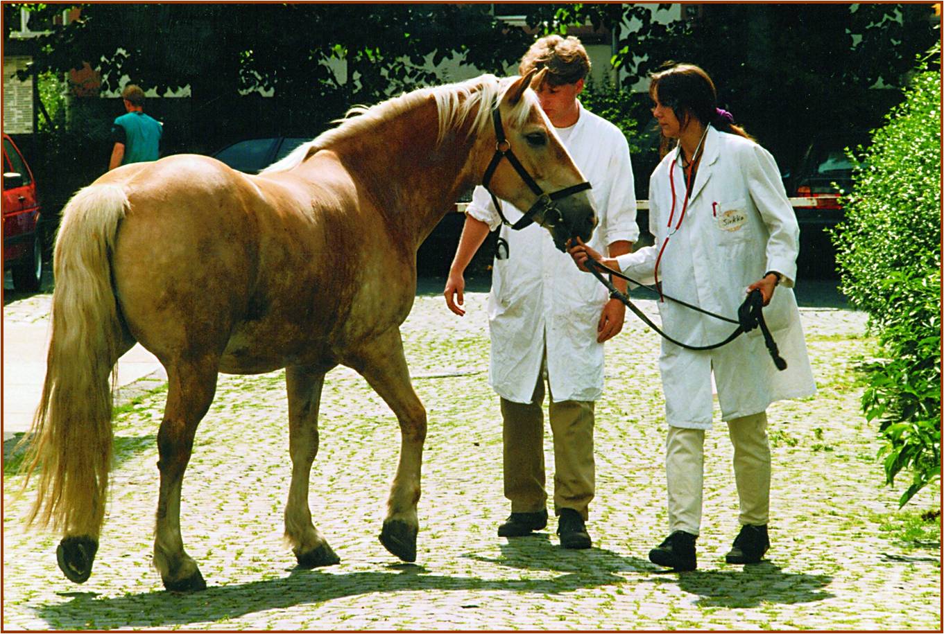 Studierende mit Pferd