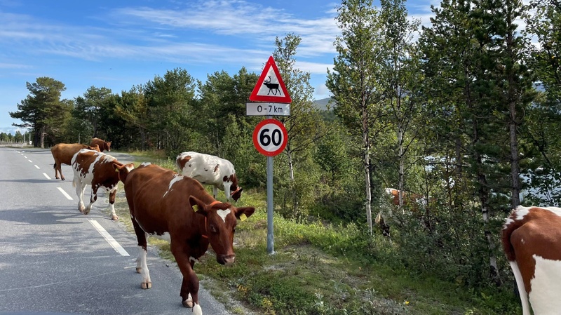 Kachel-Lehre.jpg