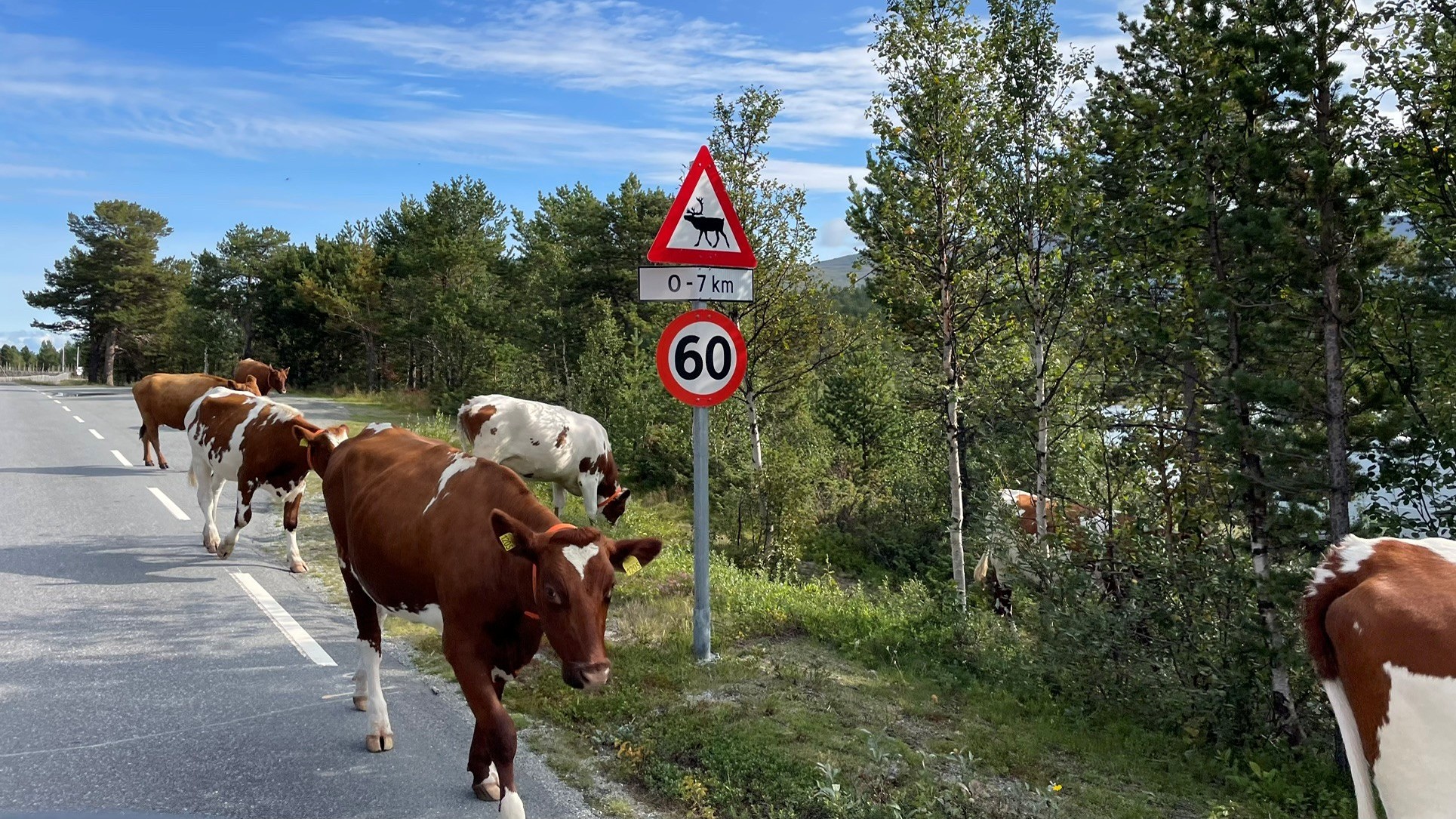 Kachel-Lehre.jpg