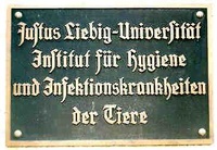 Schild