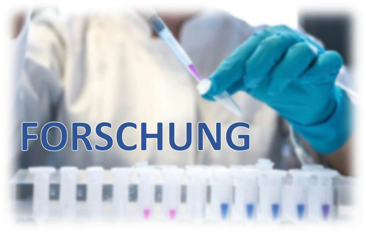Forschung Header.png