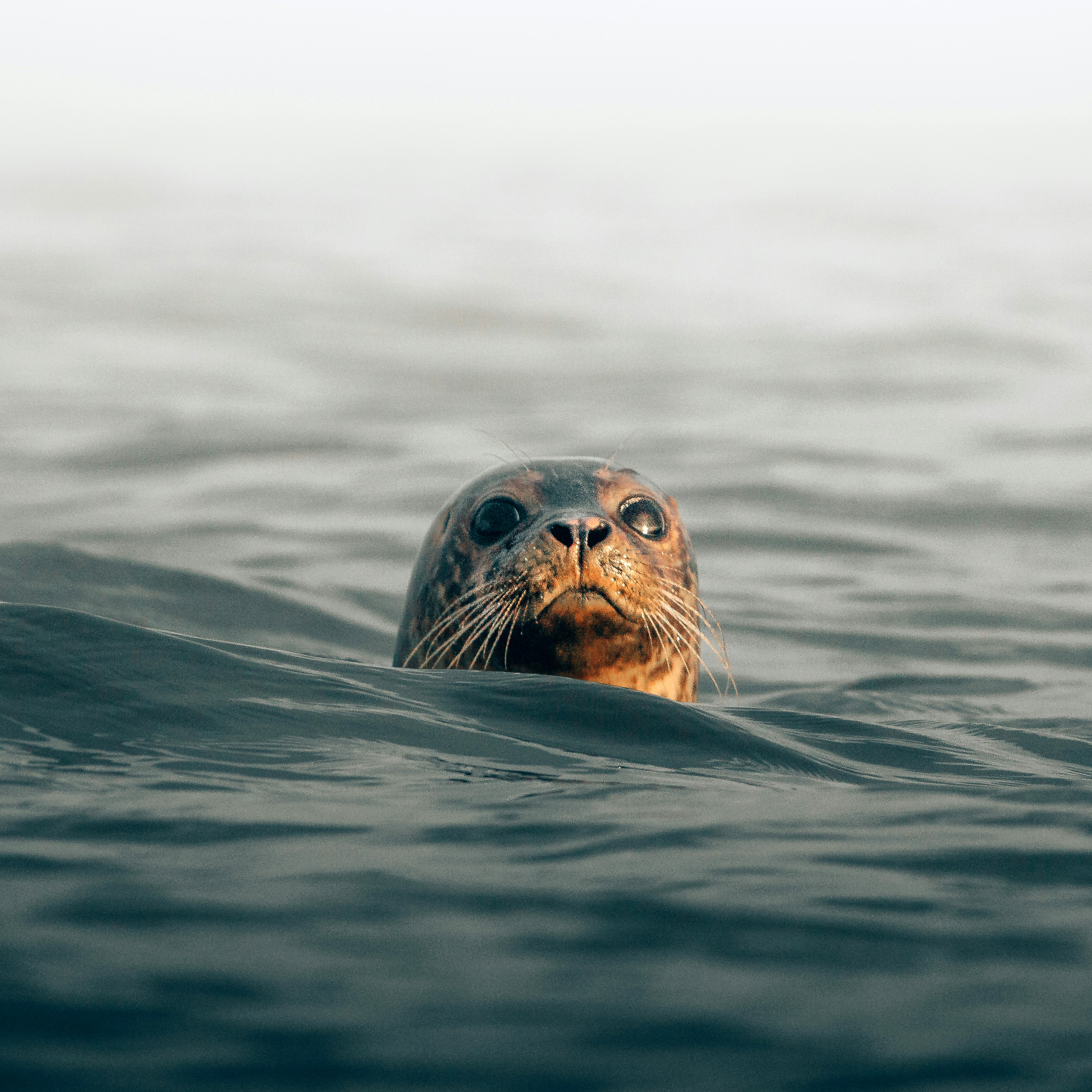 philipp-pilz-orzc5mDgqP8-unsplash2.jpg