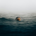 philipp-pilz-orzc5mDgqP8-unsplash.jpg