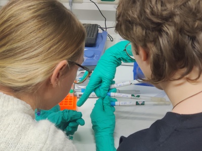 Researchers join TiHo 3.jpg