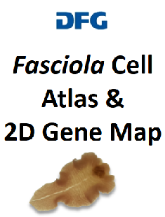 transcriptome