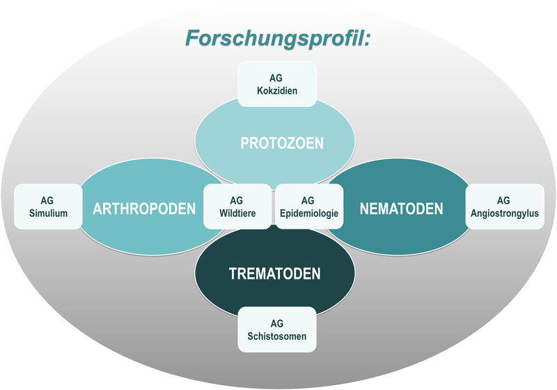 Forschungsprofil.png