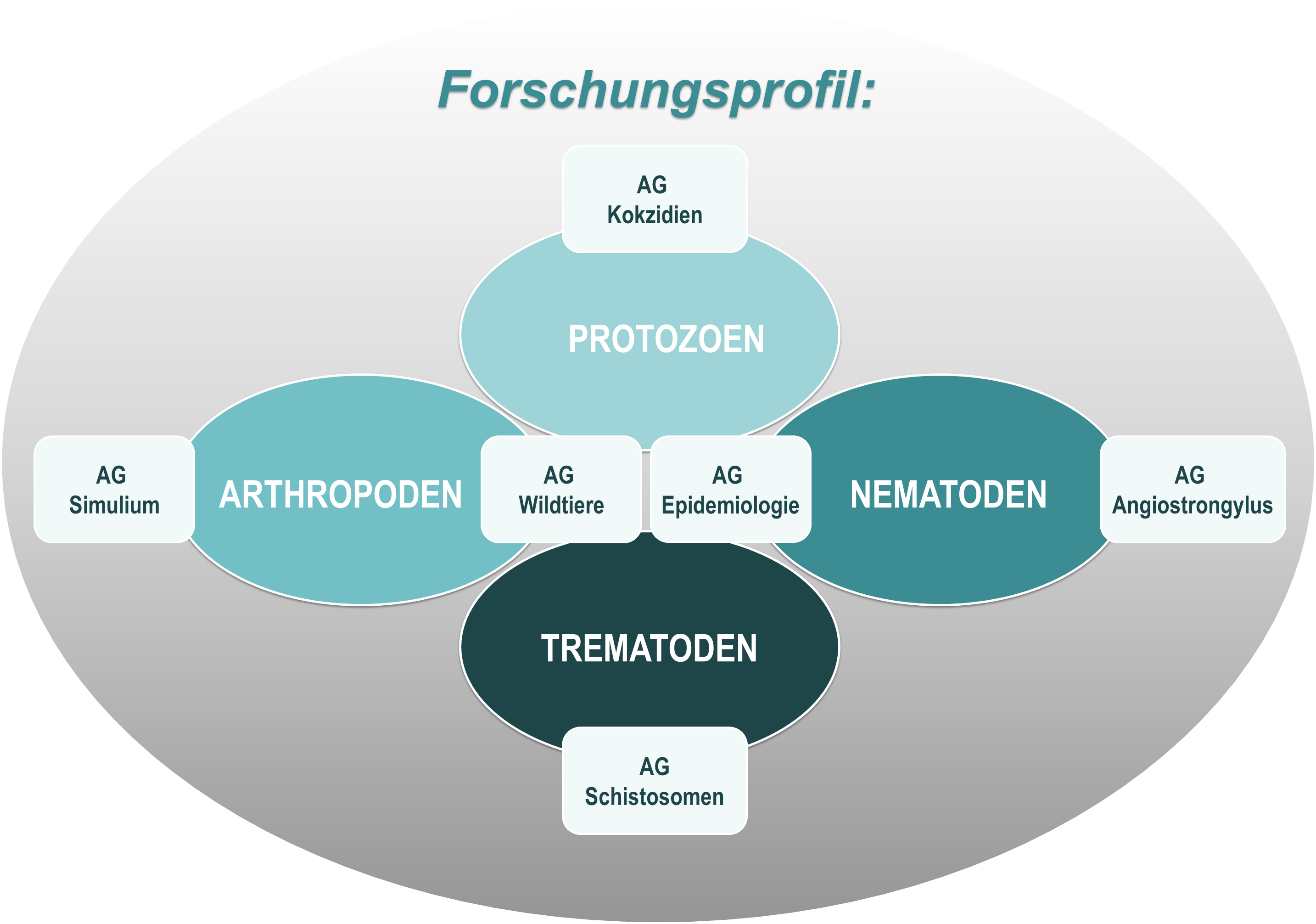 Forschungsprofil.png