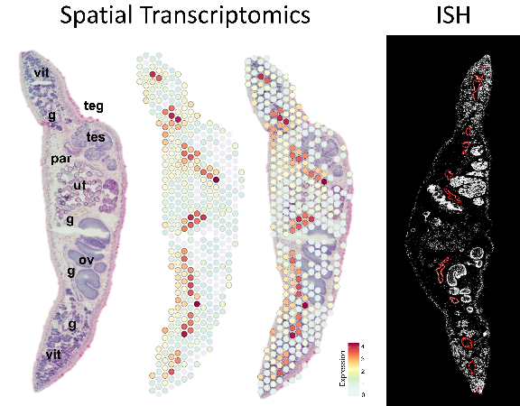 spatial_fig2.png