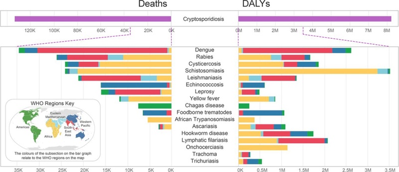 Cryptosporidiose Statistik