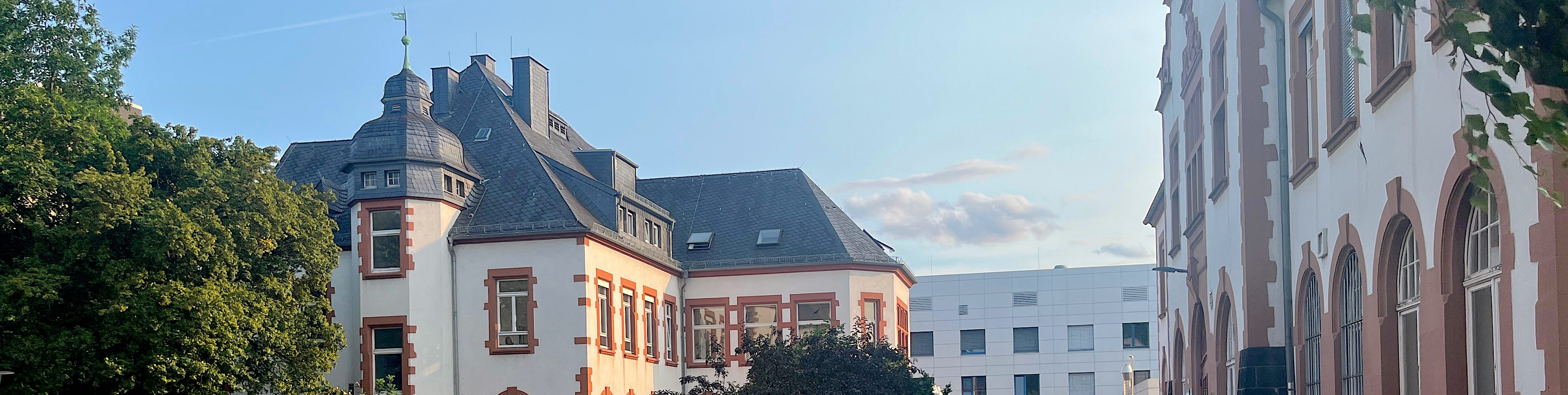 Institut für Veterinär-Pathologie