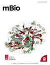 mbio.2024.15.issue-6.largecover.jpg