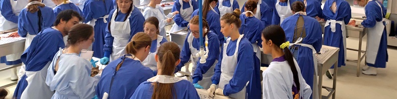 Studierende der Veterinär-Pathologie