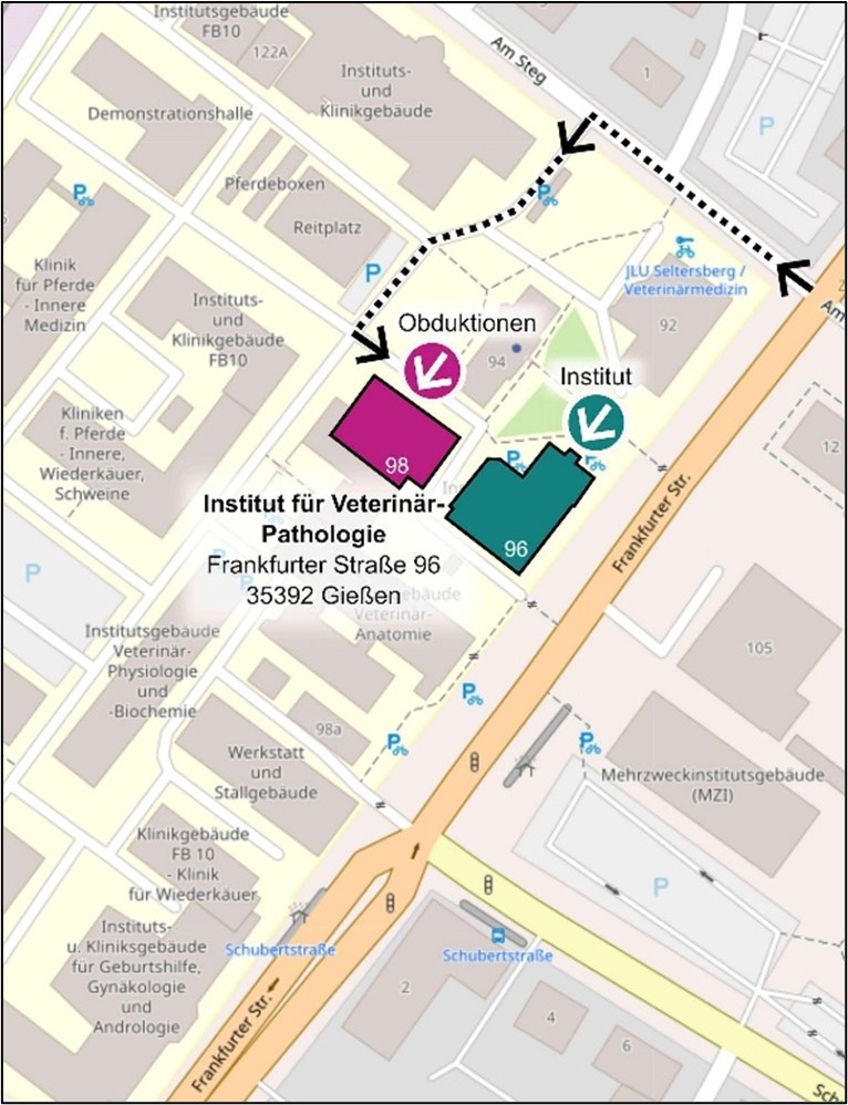 Institut für Veterinär-Pathologie Map