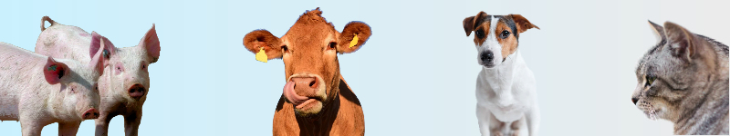 banner1