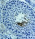 AGBild1.jpg