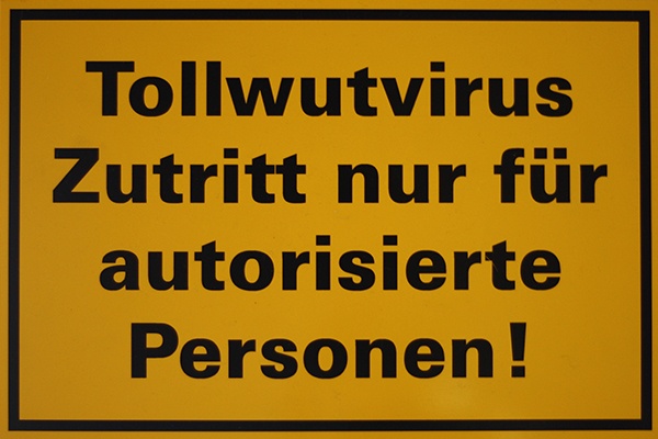 Tollwut Tollwut
