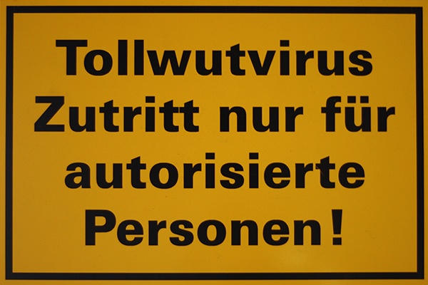 Tollwut