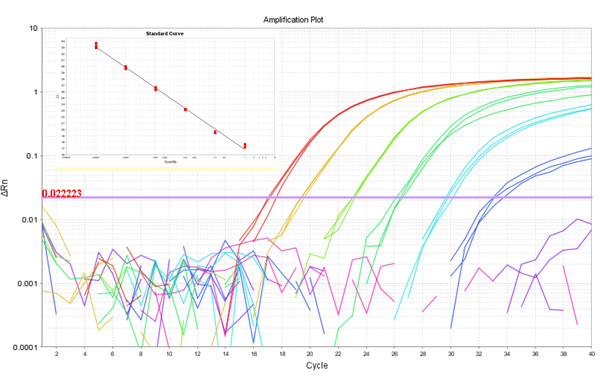 CDV qPCR