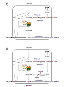 PGM2