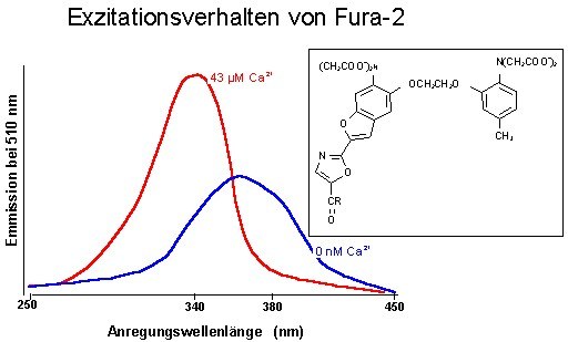 Fluoresenzverhalten von Fura-2