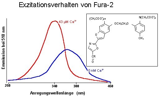 Fura-2 Fluoreszenzverhalten Fluoresenzverhalten von Fura-2