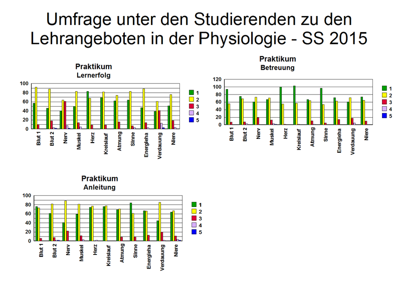 Fragebogen_1_2015